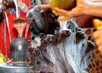 Why and how is celebrated the festival of Nagapanchami