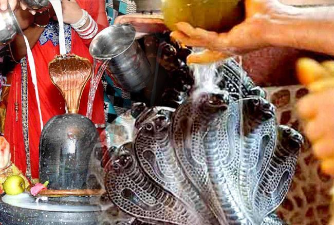 Why and how is celebrated the festival of Nagapanchami