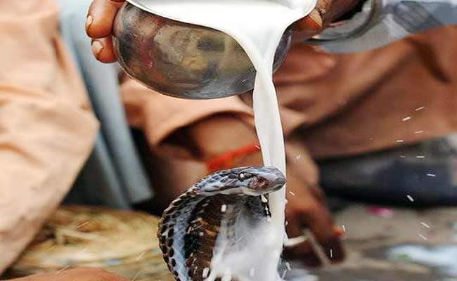 why donate milk to snakes