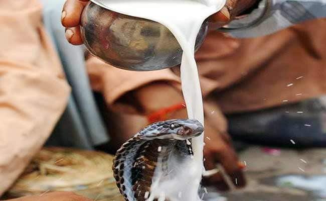 why donate milk to snakes