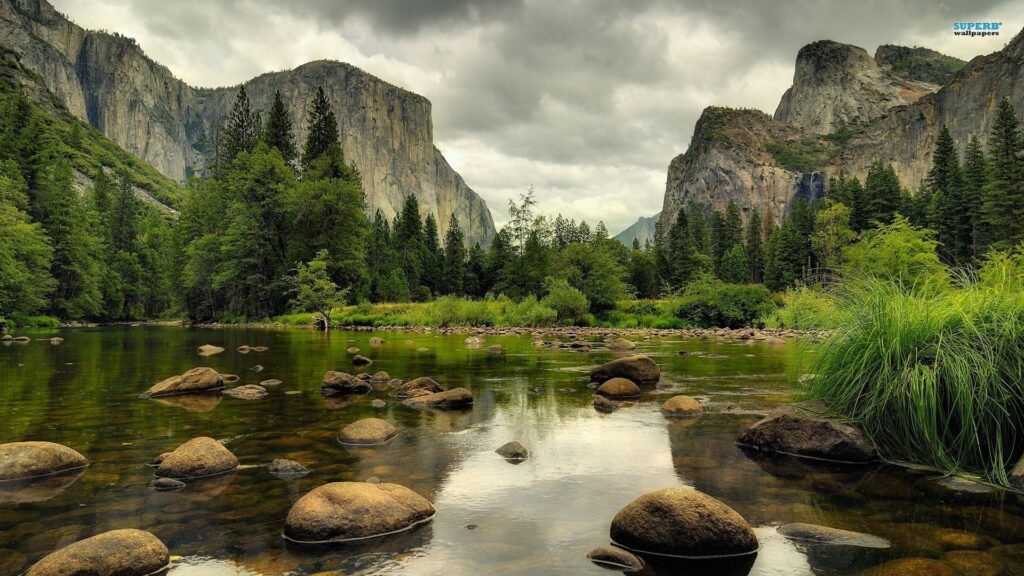 Yosemite National Park